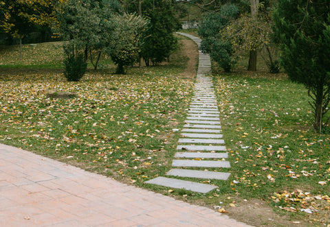 Tile path in backyard